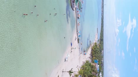 Aerial-vertical-forward-exotic-sand-beach-paradise-in-the-Dominican-Republic