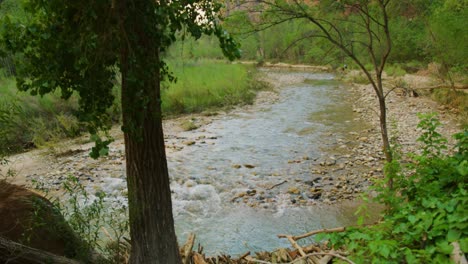 ultra wide shot of a stunning river flowing into a lake surrounded by trees and tall mountains in zion national park