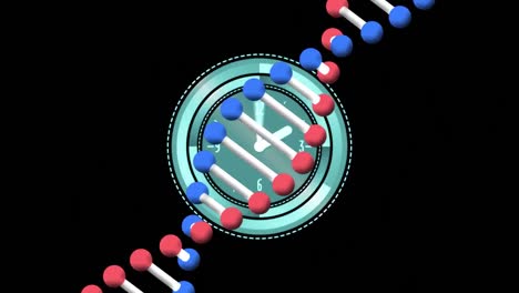 Animation-of-dna-strand-spinning-over-clock-on-black-background