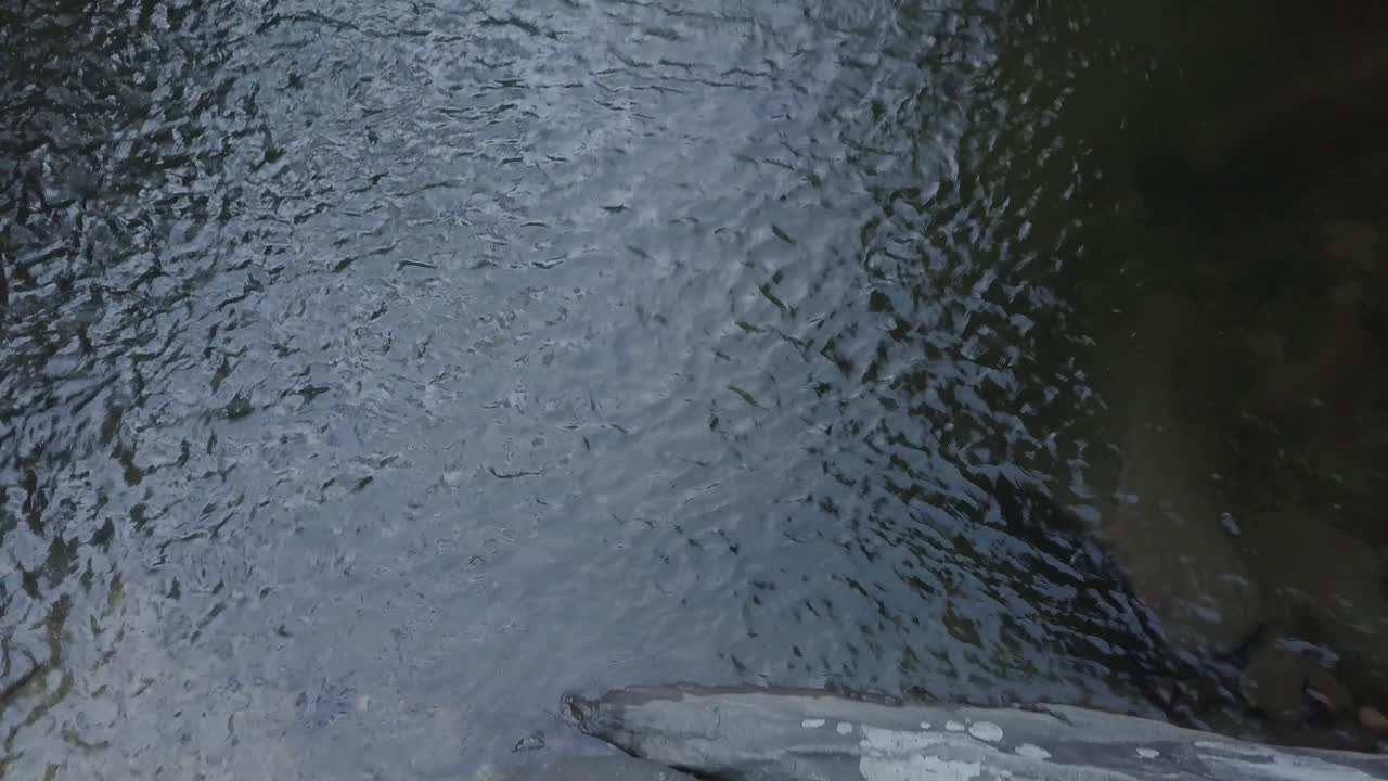 Slow pan up from water and rocks to reveal waterfall in Amazon rainforest
