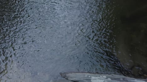 slow pan up from water and rocks to reveal waterfall in amazon rainforest