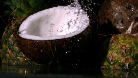 coconut falling in front of pineapples