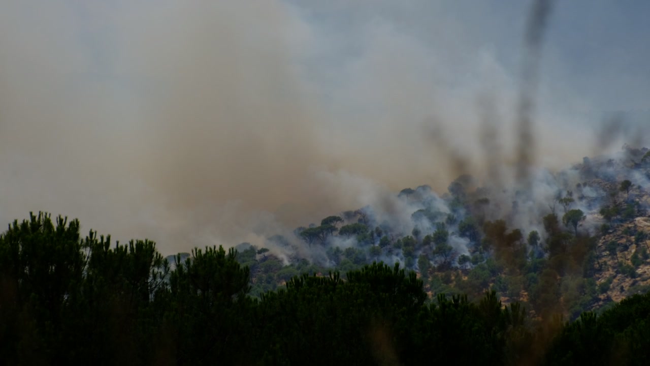 Denso fumo di incendio boschivo si diffonde sopra una pineta su un pendio di montagna
