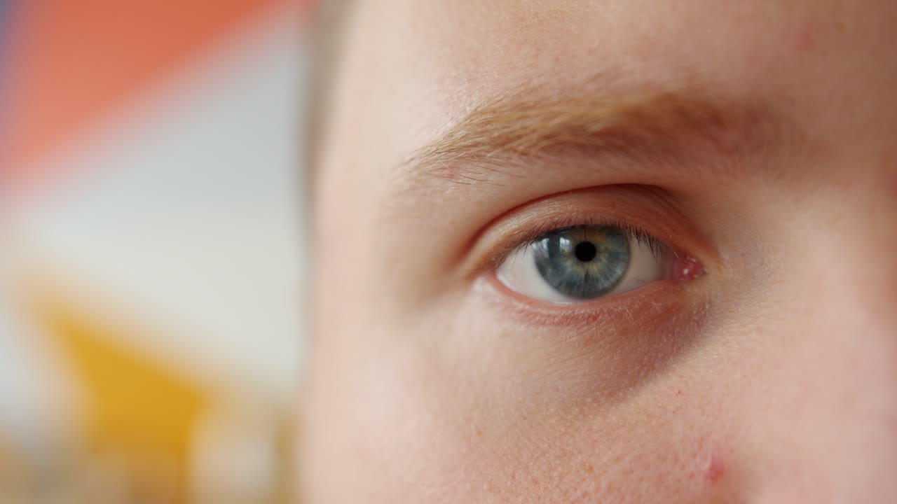 파란 눈의 근접 사진