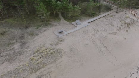 beautiful aerial establishing birdseye view of baltic sea coast, overcast winter day, calm beach with white sand, pine tree forest, coastal erosion, climate changes, wide drone shot moving backward