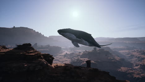 whale flying over desert canyon