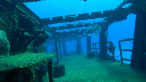 ponte di babordo del naufragio con pesce e corrente