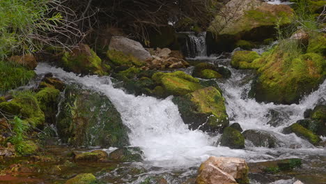 waterfalls in foamy stream rushing on mossy rocks