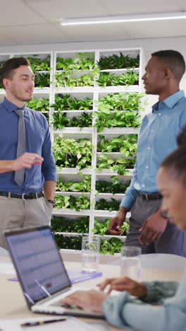 vertical video of diverse business people discussing work and using laptop at office