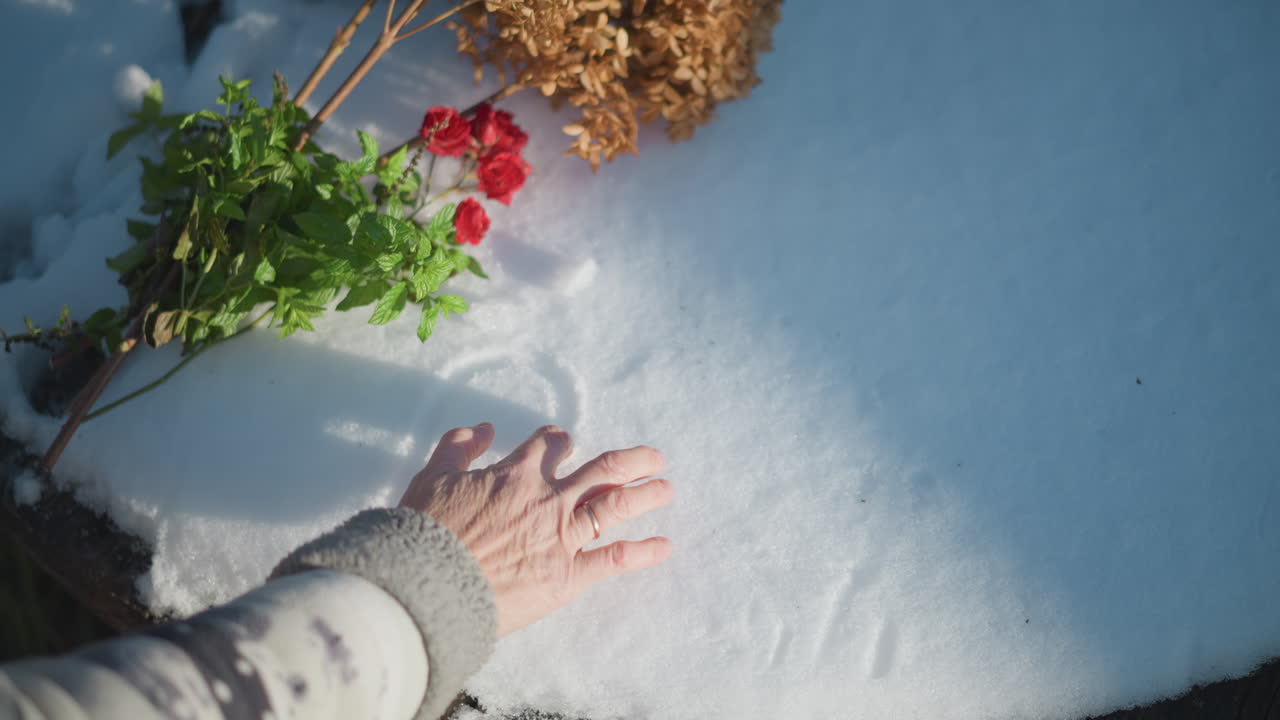 Eine Hand zeichnet ein Herz in den Schnee neben Kräutern auf einem Gartentisch, sanfte Fingerbewegung erzeugt ein einfaches Herz, rote Blume und grüne Kräuteransammlung, sanftes Wintersonnenlicht, gemütlicher Pulloverärmel, ruhige Nostalgie.