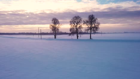 Tres-árboles-En-Un-Hermoso-Paisaje-Invernal-Cubierto-De-Nieve-Vista-Aérea-Del-Amanecer