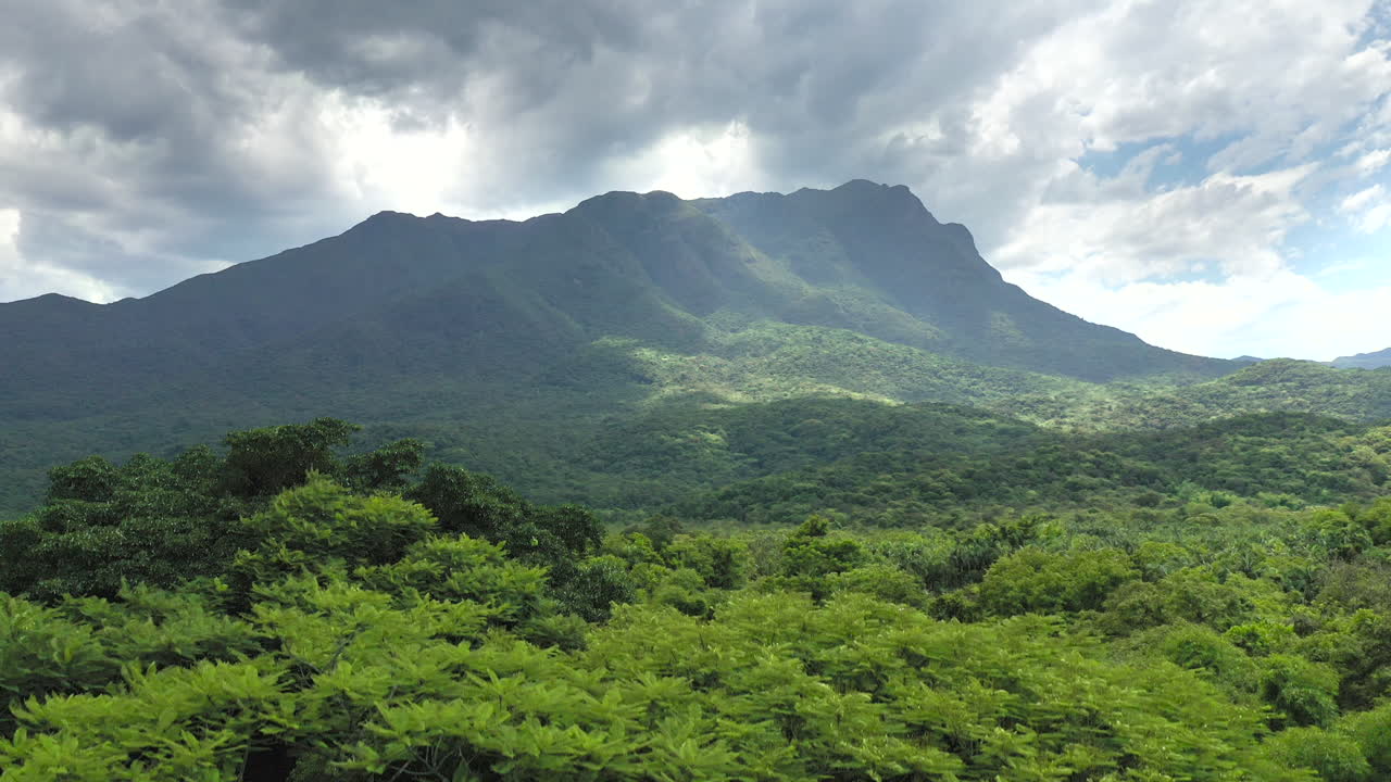 hermosa toma aérea de establecimiento selva tropical montaña que revela detrás de árboles altos