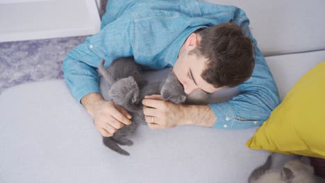 cute kittens. man hugging cute kitties.