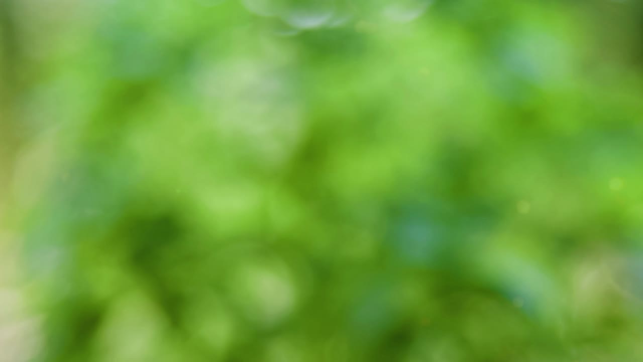 fondo de verano abstracto con bokeh