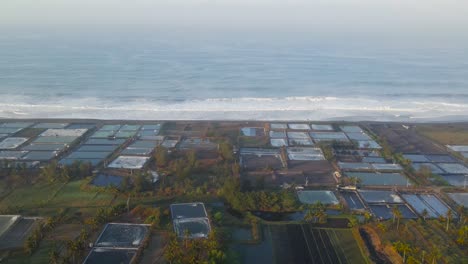 Aerial-view-Salt-plantations-along-the-coastline-with-sea-waves-on-the-background