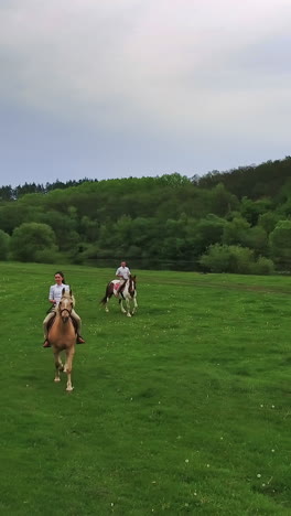 man and woman riding horses in the field. romantic date in the beautiful nature in summer. vertical video