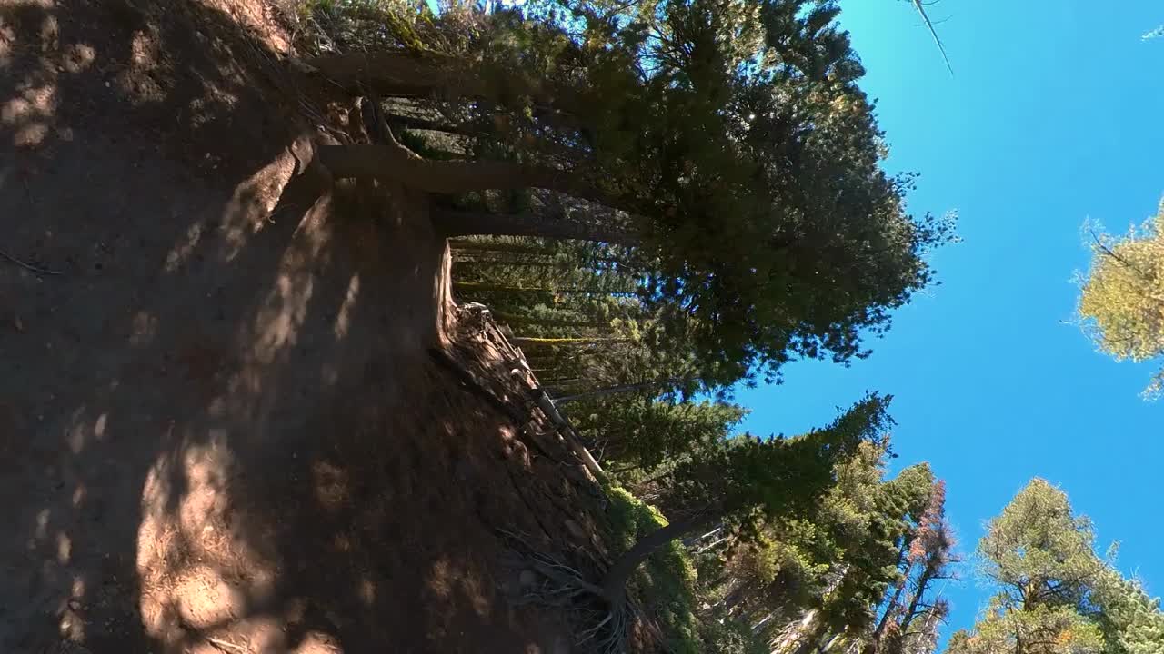 tiro vertical pov del sendero alrededor del parque nacional del lago del cráter