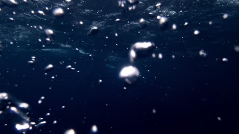 bubbles rise and float gracefully to the water's surface in the pristine waters of mauritius island, they reveal the mesmerizing beauty and movement of oceanic currents