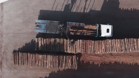 descarga de camiones y apilamiento de troncos en el aserradero