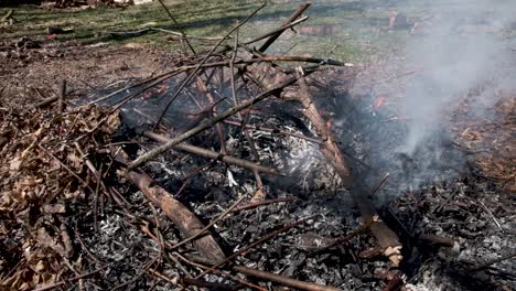 Palos-Ardiendo-En-Un-Patio-Trasero-|-Camara-Lenta