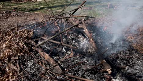 palos ardiendo en un patio trasero | camara lenta