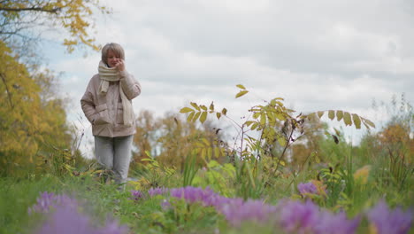 close up of lady strolling through lush autumn garden path lined with vibrant purple blooms and golden foliage adjusting chunky scarf around neck over pink coat and grey joggers seasonal walk