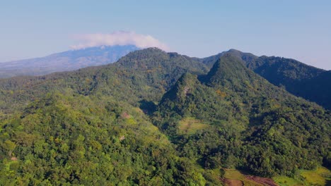 aerial view flight over pine tree forest on the hills against blue sky and mountain on the background