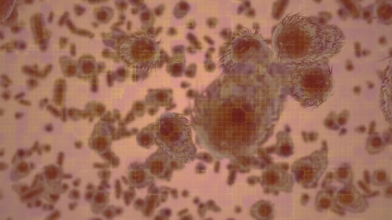 Animation of moving cells over red background