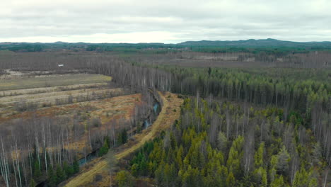 aerial, drone shot, around a river, surrounded by leafless, autumn forest and fields, on a cold, cloudy, fall day, in juuka, pohjois-karjala, finland