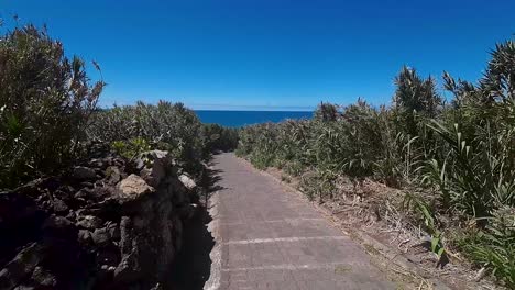 brick paver path leading to the ocean lined with tall green crops of farms