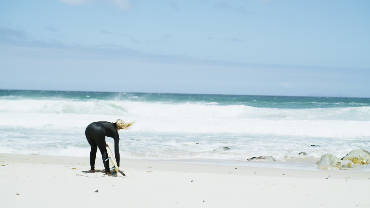 모든 서퍼는 여름을 최대한 활용해야 합니다.