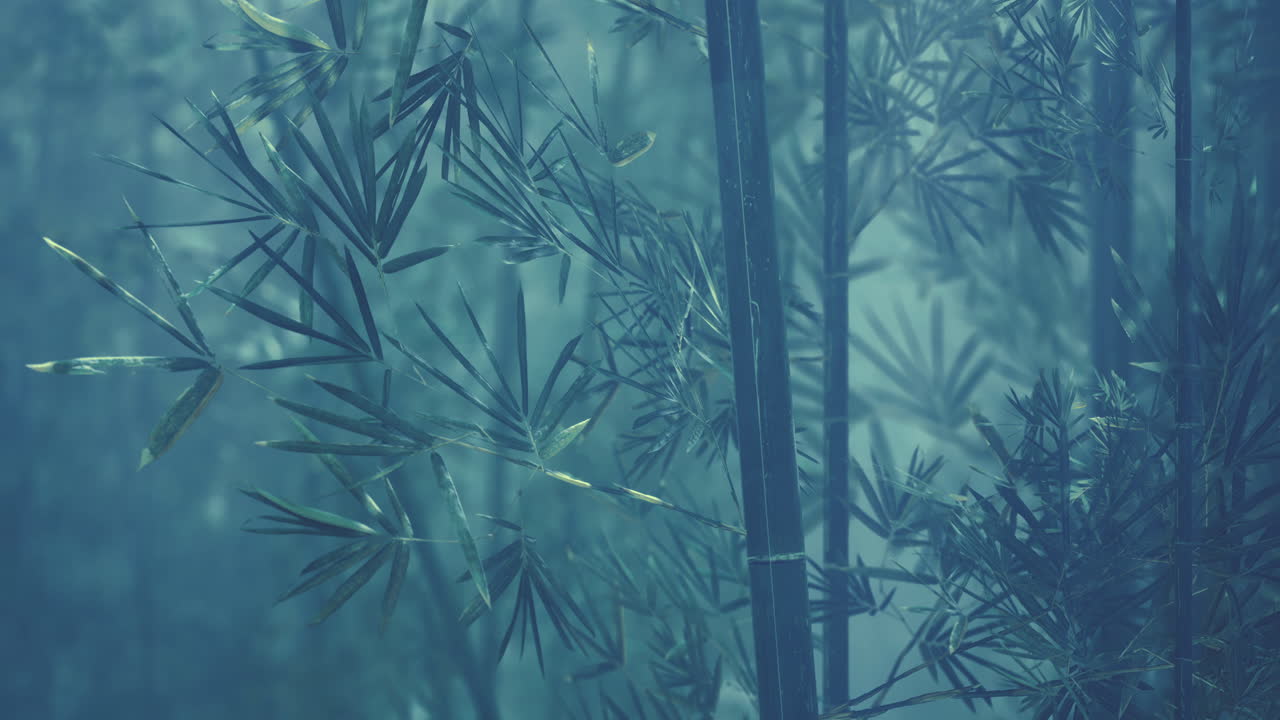Bamboo forest shrouded in mist creates a serene and mystical atmosphere