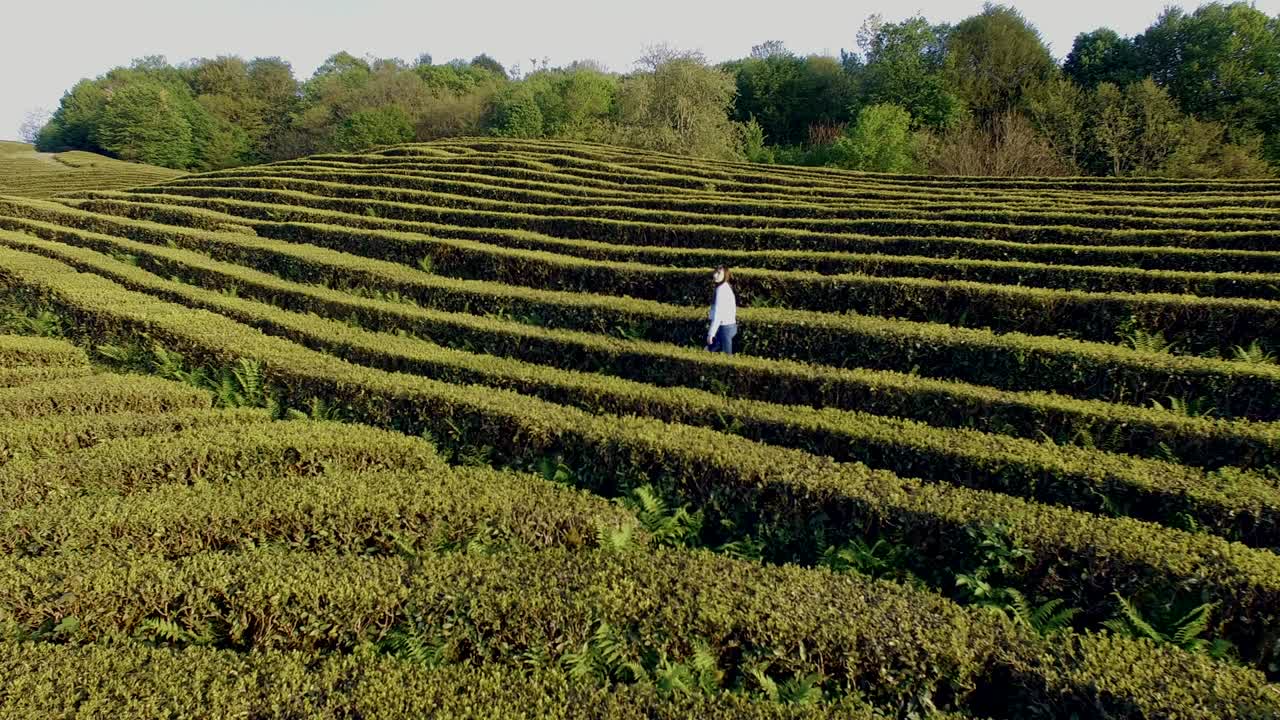 Beautiful girl on the field maze.