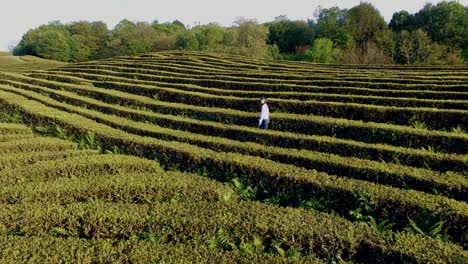 beautiful girl on the field maze.