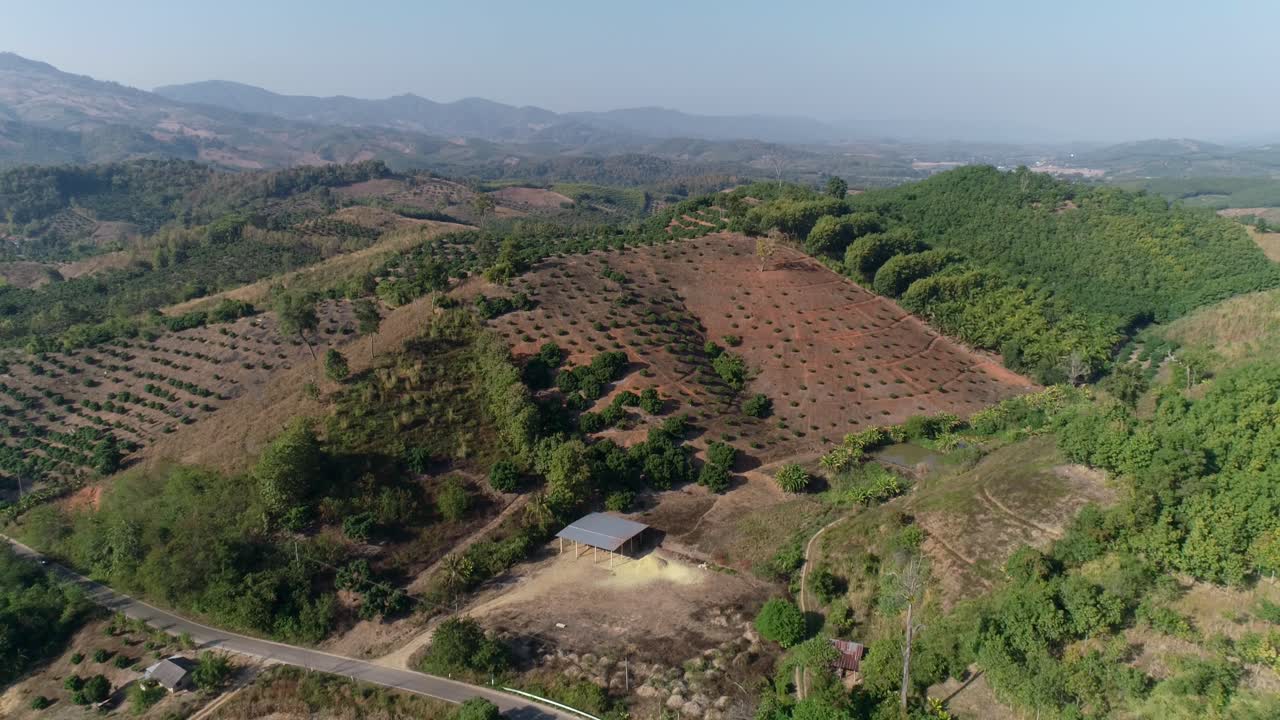 aéreo, cultivo sostenible de plantaciones de árboles de tailandia