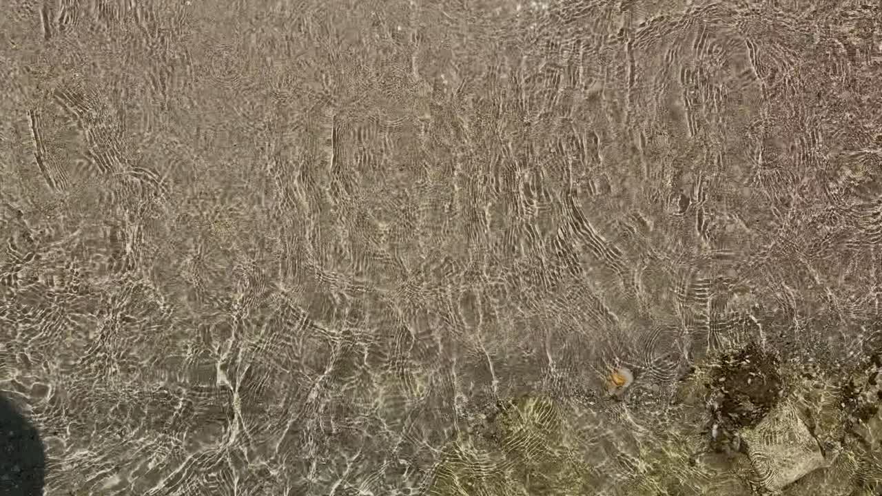 Stunning beach scene in Halkidiki, Greece, with elegant sunbeds facing the crystal-clear turquoise sea. A perfect summer escape in the heart of the Aegean.