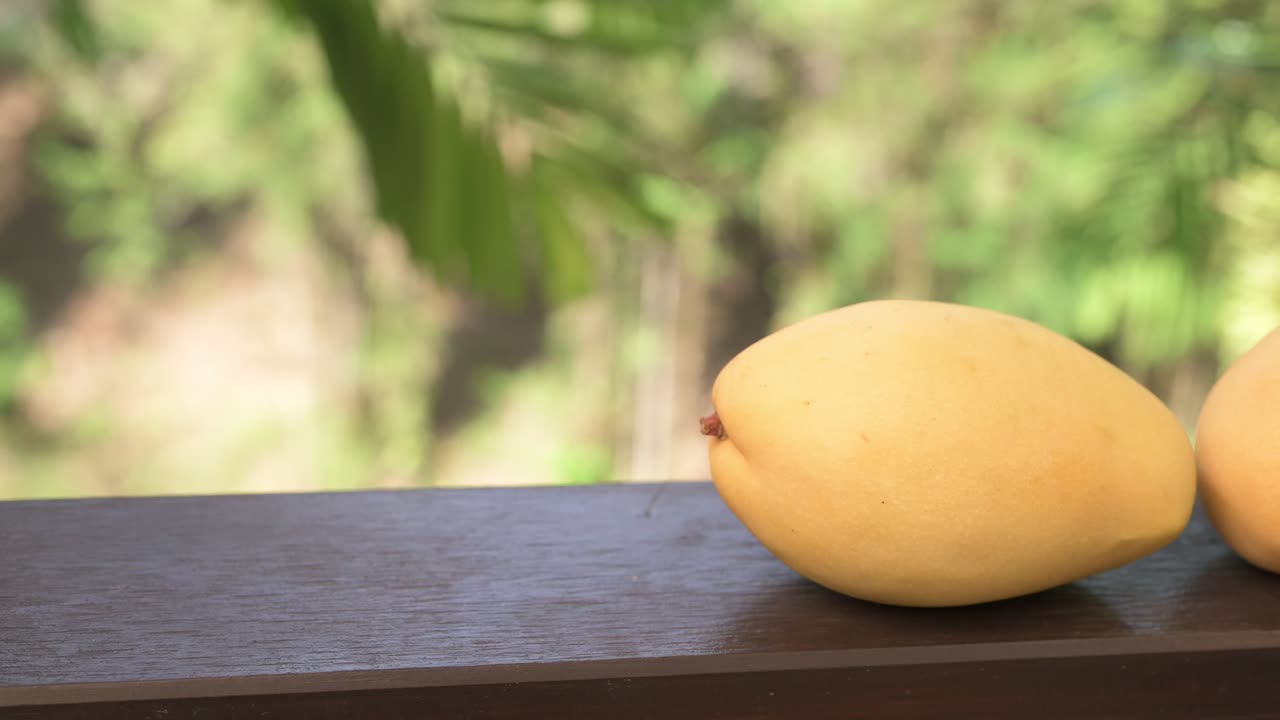 Deliziosi mango freschi con sfondo di foglie tropicali per un concetto di stile di vita sano