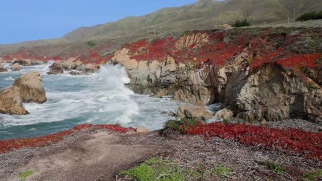 Wide-shot-of-Large-waves-crashing-against-jagged-Big-Sur-Coastline-in-Garrapata,-cliffs-covered-in-red-iceplant-in-Slow-Motion