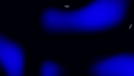 Mancha-Azul-Oscuro-Sobre-Fondo-Negro-De-Diseño-Gráfico-Versátil