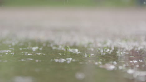 slow motion, shallow focus - rain droplets in a puddle