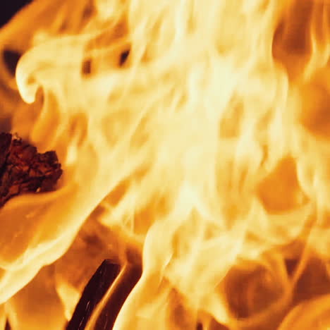 burning wood in the fireplace and the flames