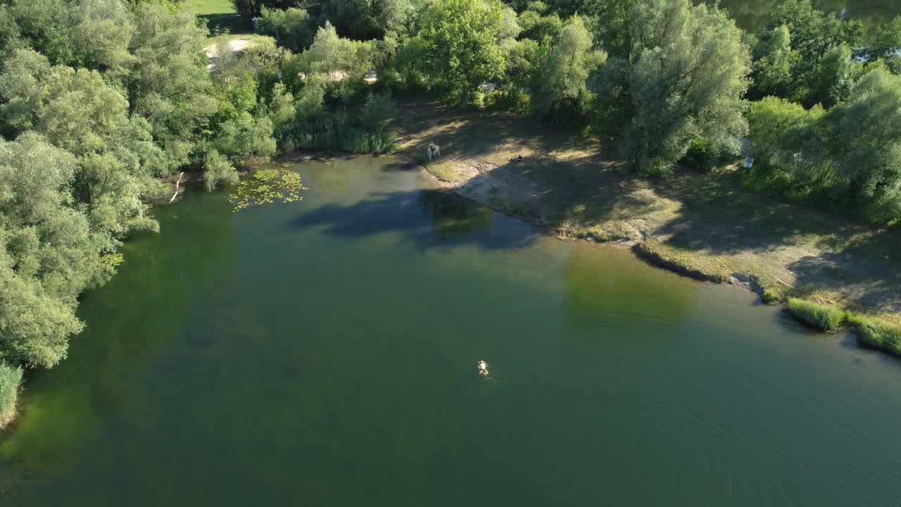 나무 로 둘러싸인 조용 한 호수 에서 수영 하는 사람