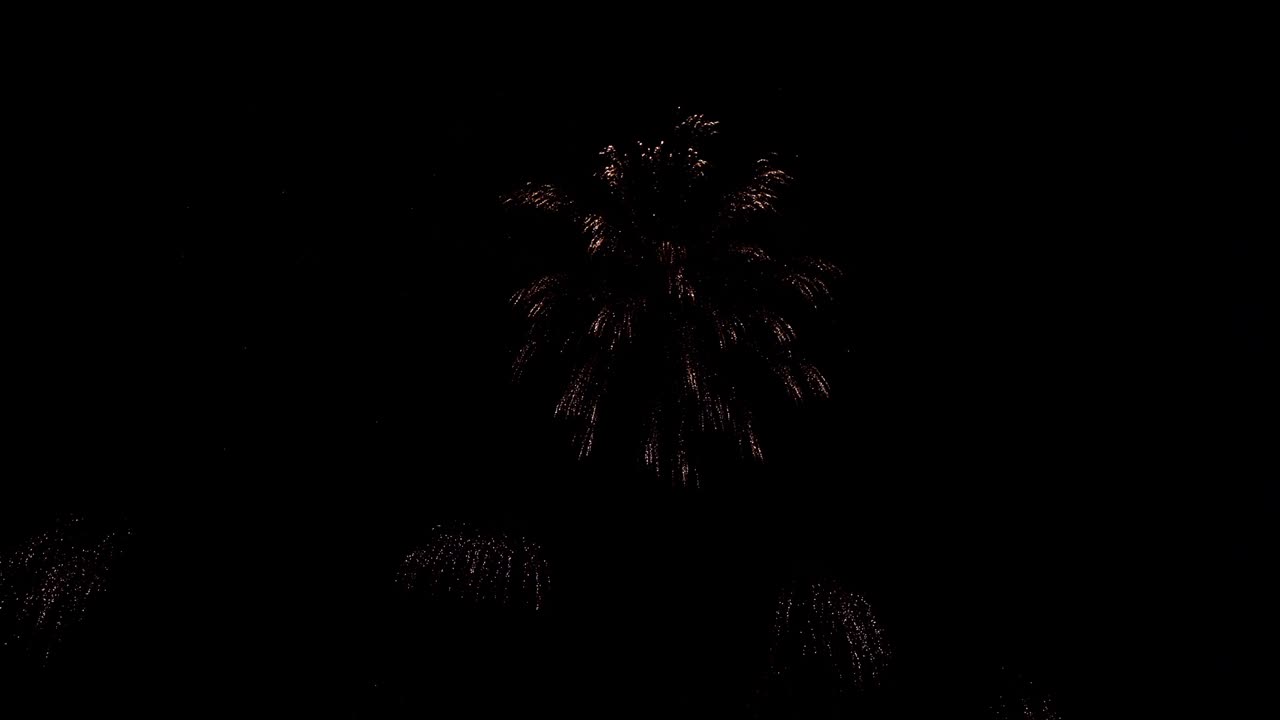 축제에서 축하하기 위해 밤에 아름다운 다채로운 불 작품 전시