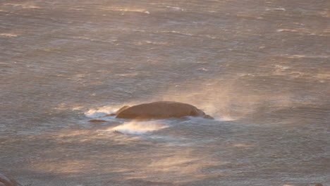 Olas-Del-Mar-Golpeando-Una-Roca-Debido-Al-Fuerte-Viento-En-Ciudad-Del-Cabo,-Sudáfrica