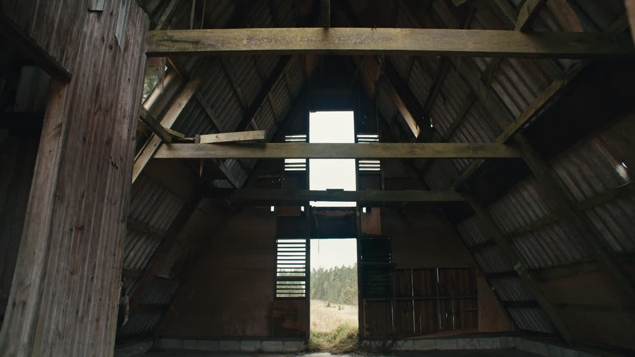 Innenansicht einer verlassenen, zinkgedeckten Dreieck-Blockhütte in einem Feld mit gezahntem Tussockgras und karibischen Kiefern in den Bergen bei bewölktem Himmel.