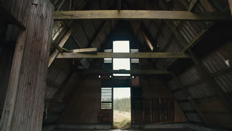 interior of abandoned zinc roofed triangle log cabin in a field of serrated tussock grass and caribbean pine trees in the mountains with cloudy sky