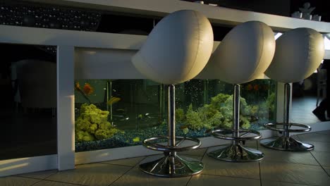 modern bar with aquarium