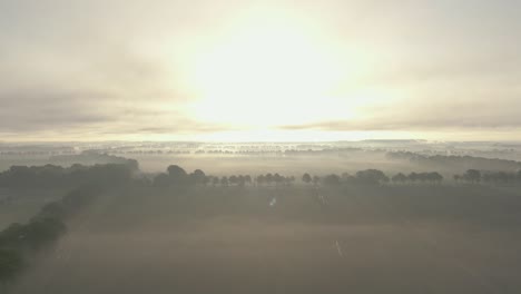 misty sunrise over farmland