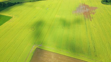 Foto-Aérea-De-La-Parte-Superior-De-Un-Dron-Volador-De-Una-Tierra-Con-Campos-Verdes-Sembrados-En-El-Campo-En-Primavera