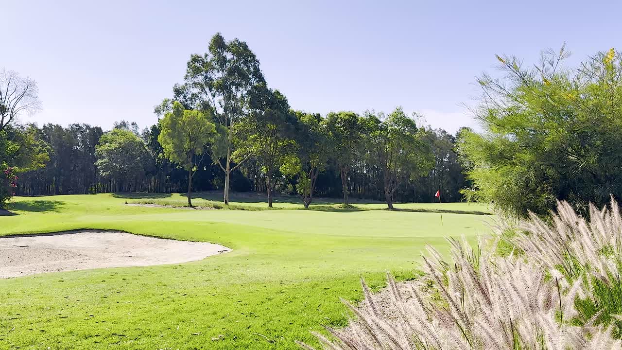 나무 와 풀 이 있는 평화로운 정원 장면